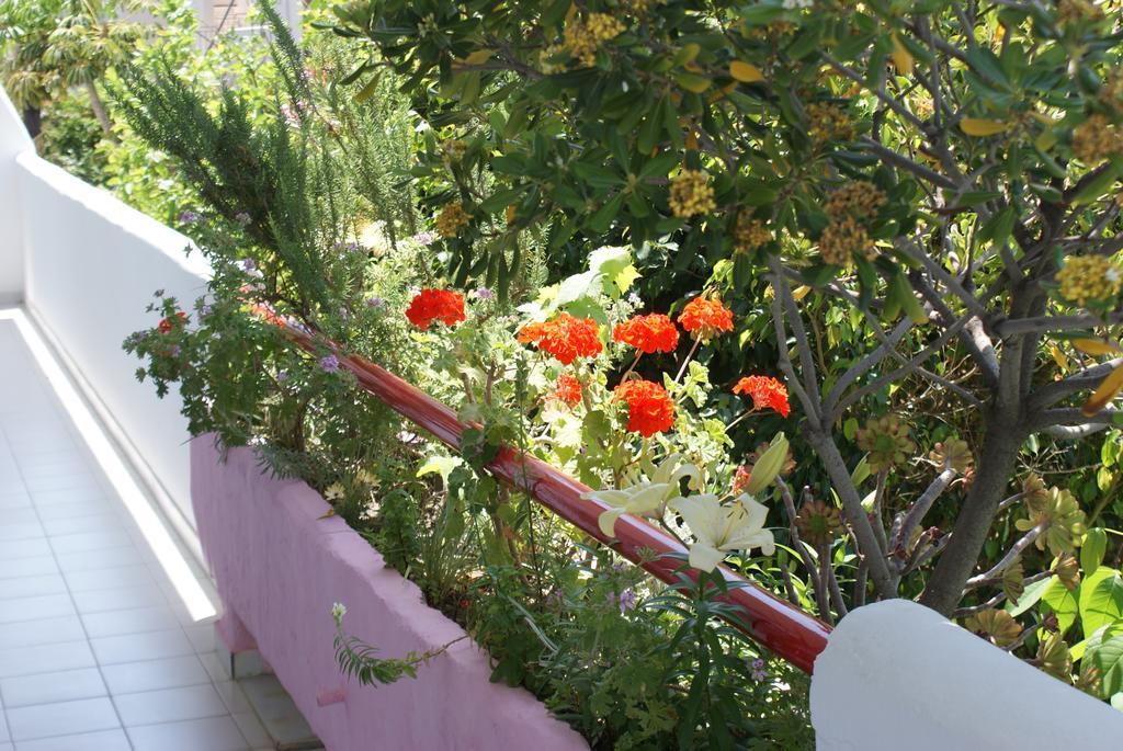 העיירה קוס Stam & John Apartments מראה חיצוני תמונה